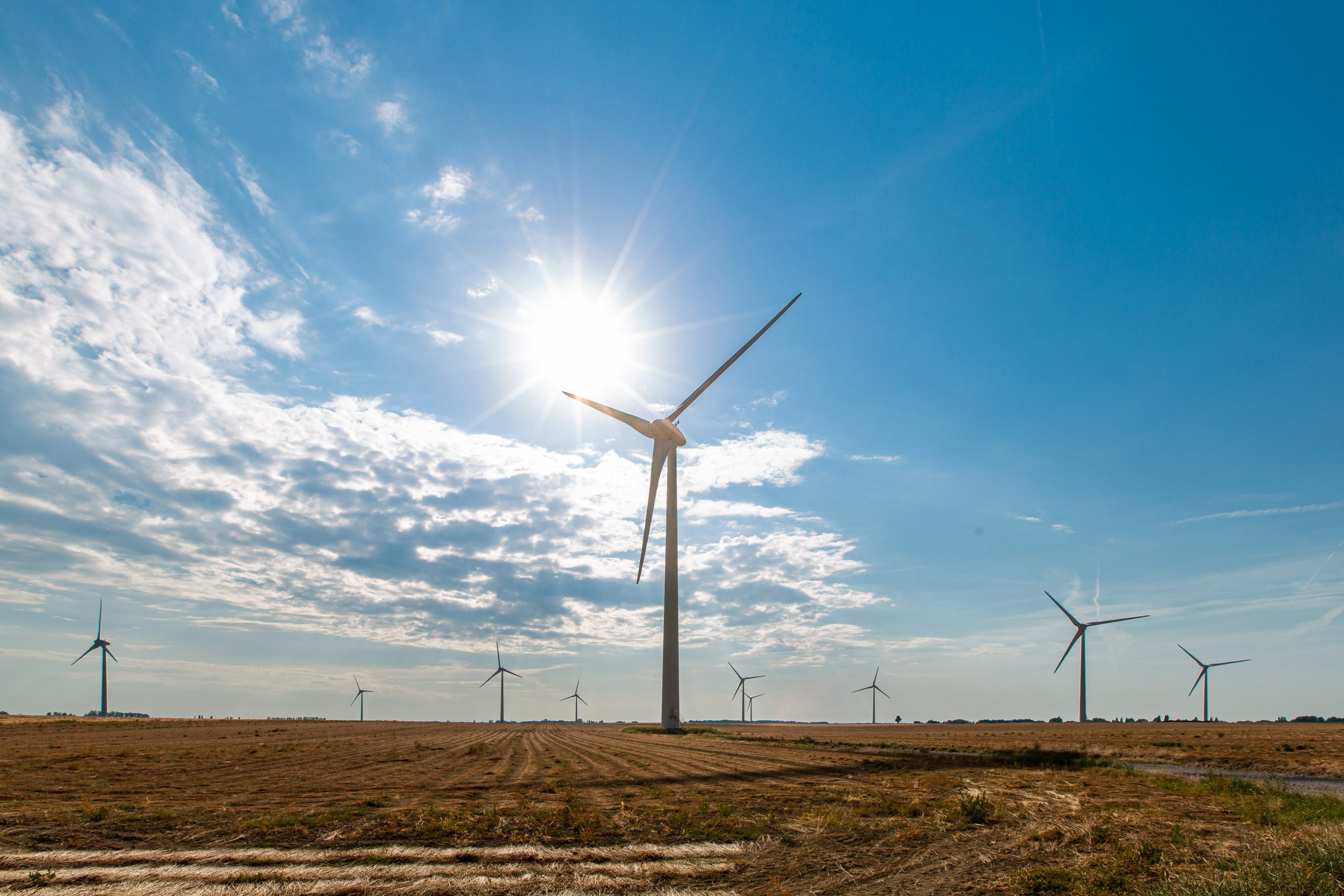 Energy storage flexibility for better wind investment decisions